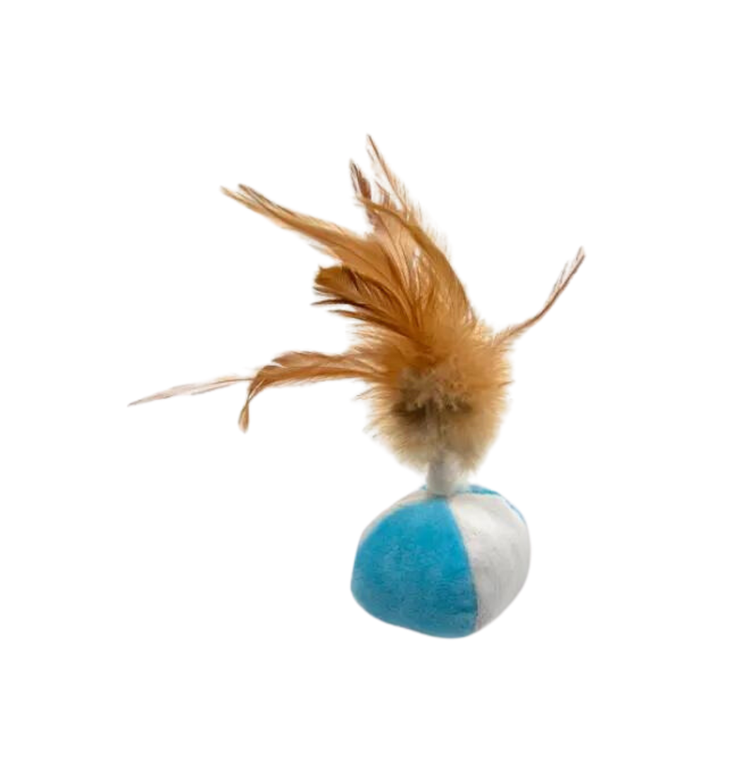 Plush Fitness Ball.png