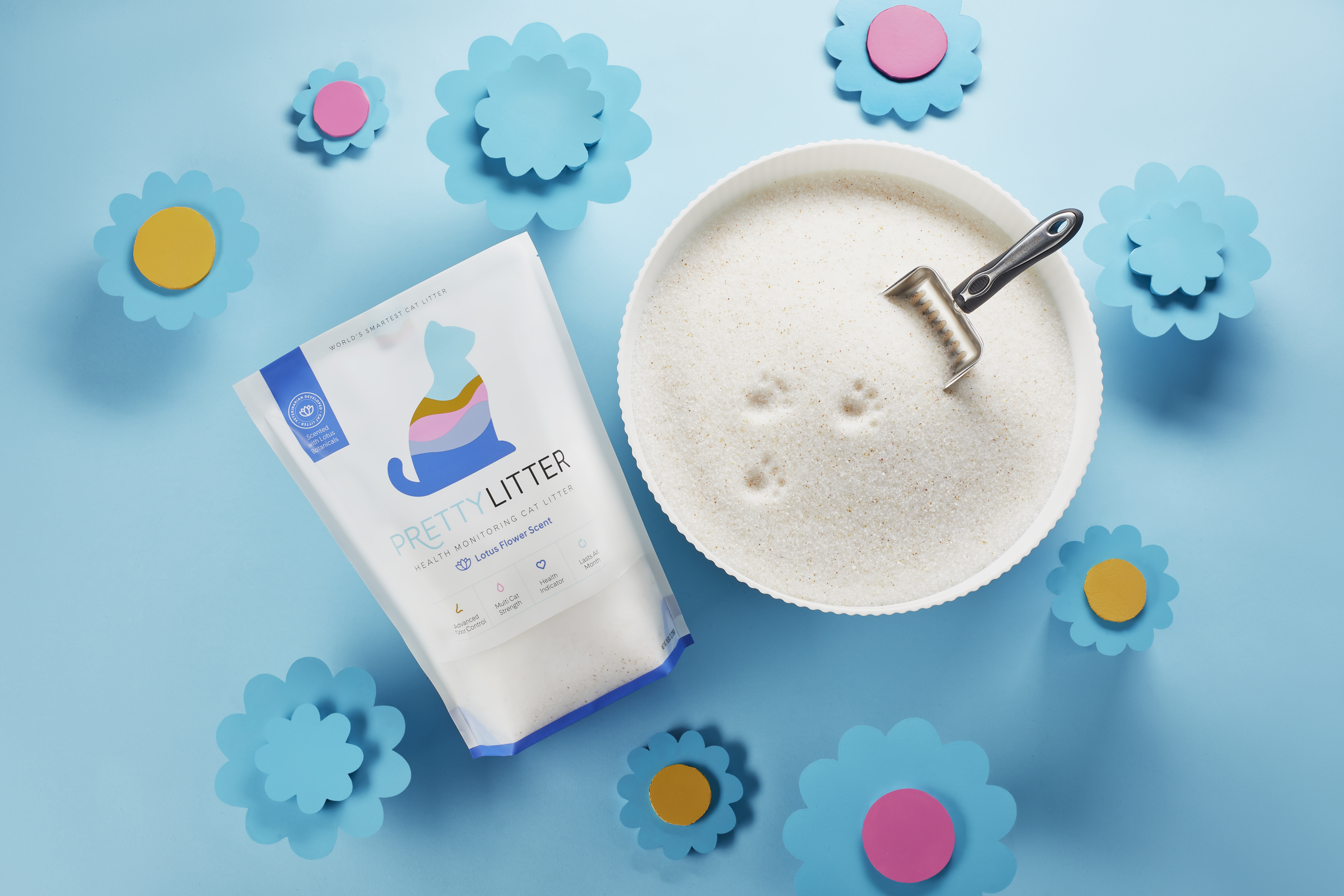 Untitled Session1384_Fin.jpg